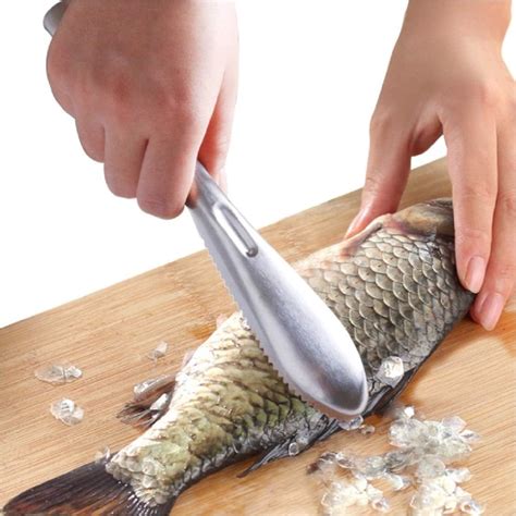 Amazon.com: Fish Scaler.